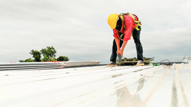 Fast & Reliable Emergency Roof Repairs in St Paul Park, MN